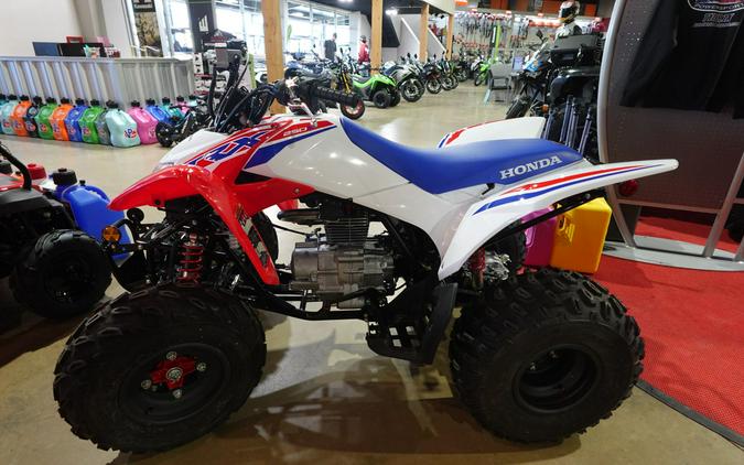 2026 Honda TRX250X