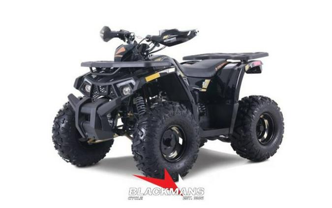 2026 Denago Powersports Mudhawk 10 FI