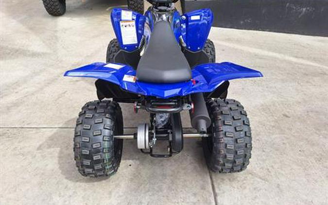 2024 Yamaha Raptor 110