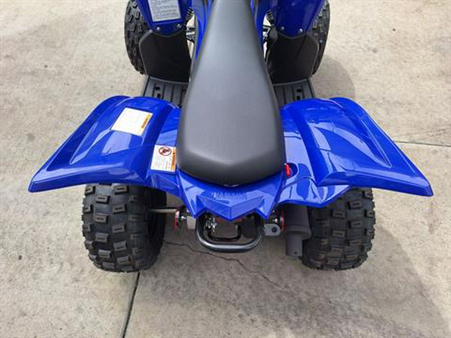 2024 Yamaha Raptor 110