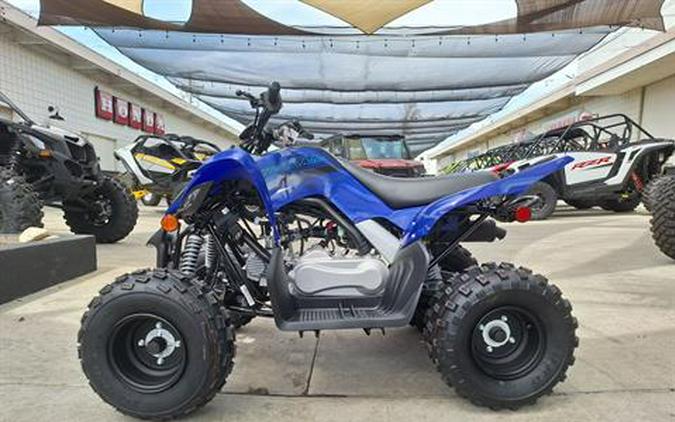 2024 Yamaha Raptor 110