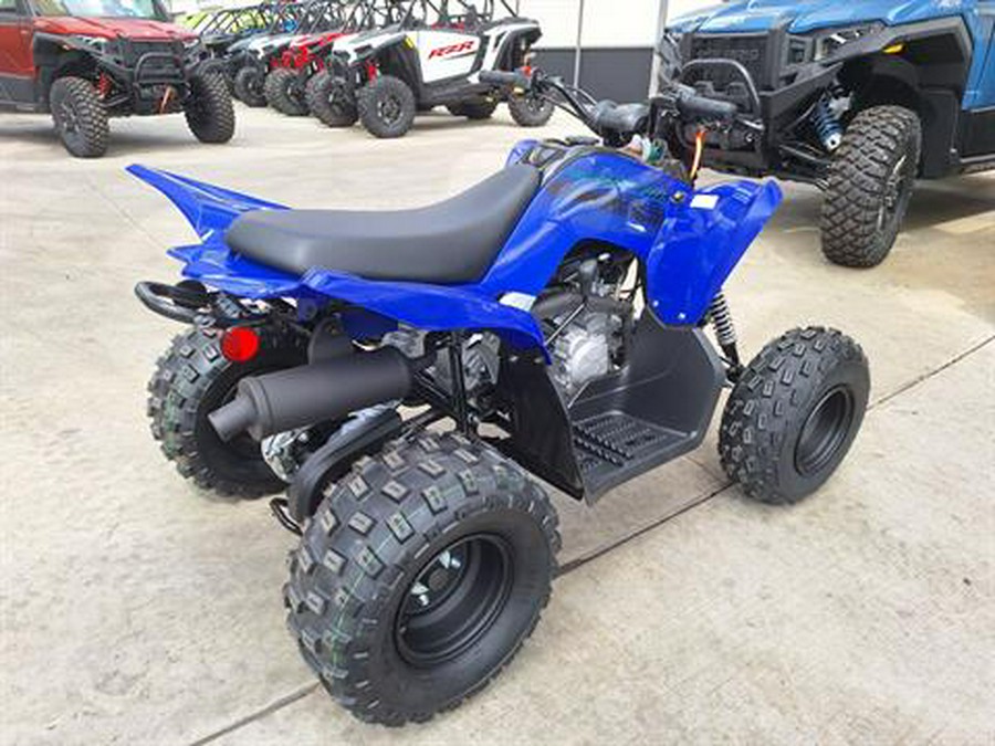 2024 Yamaha Raptor 110