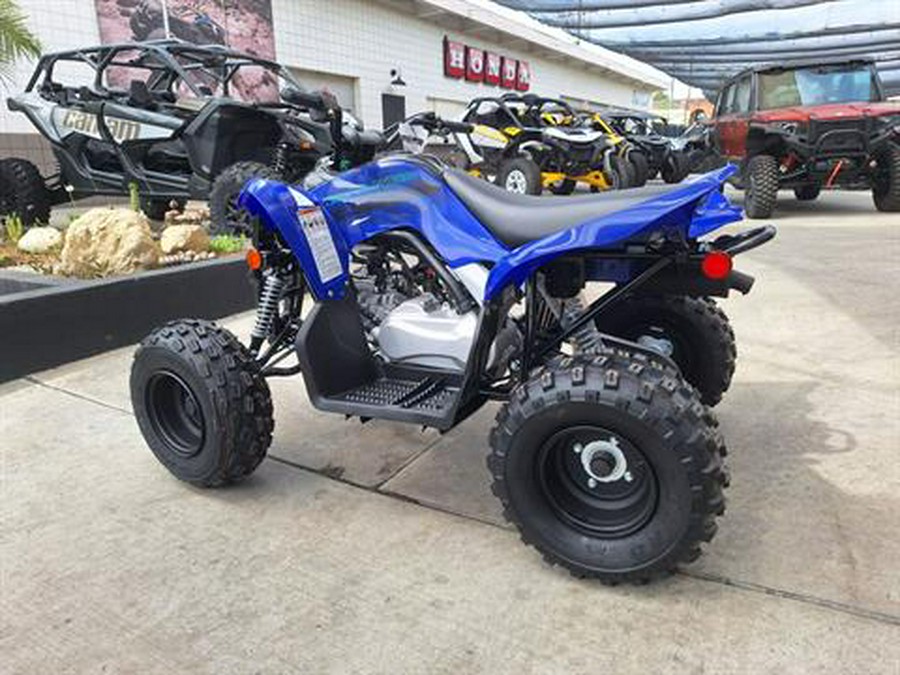 2024 Yamaha Raptor 110