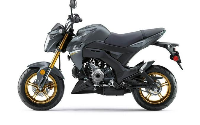 2024 Kawasaki Z125 PRO