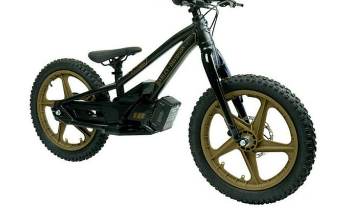 2025 Stacyc H-D 18Edrive