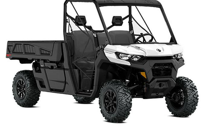 2022 Can-Am Defender Pro DPS HD10