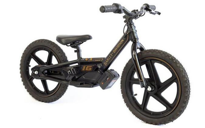 2025 Stacyc H-D 16Edrive Brushless