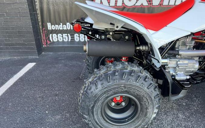 2024 Honda® TRX250X