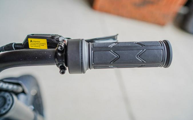2025 Stacyc 20Hdrive
