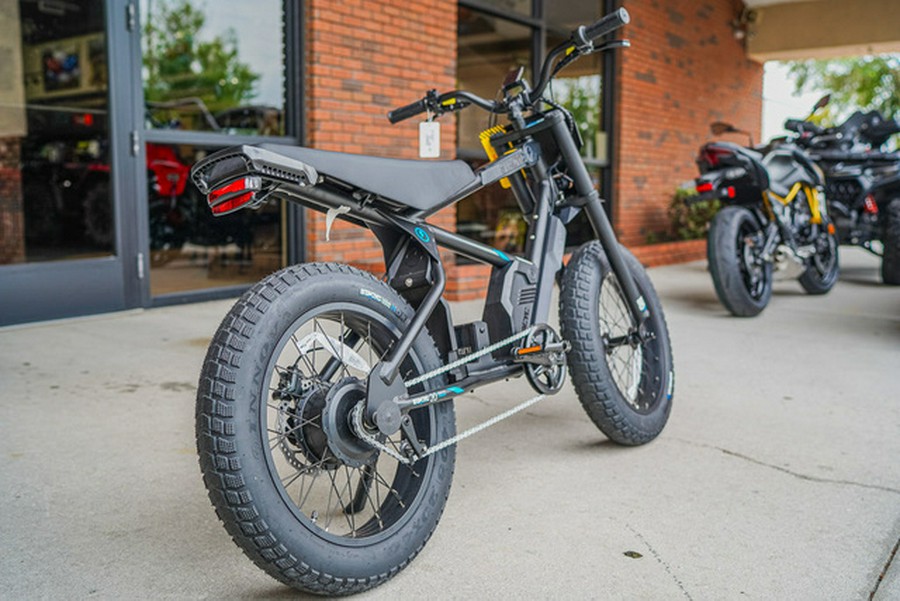 2025 Stacyc 20Hdrive