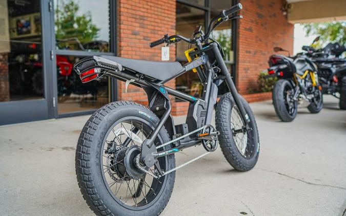 2025 Stacyc 20Hdrive