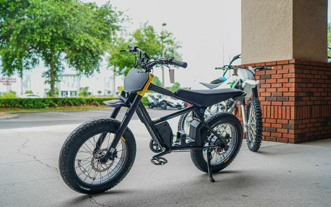 2025 Stacyc 20Hdrive