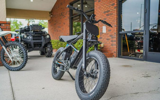 2025 Stacyc 20Hdrive