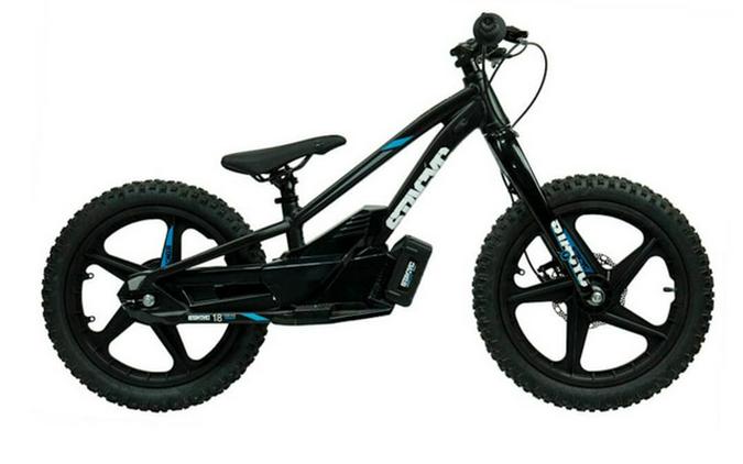 2025 Stacyc 18Edrive