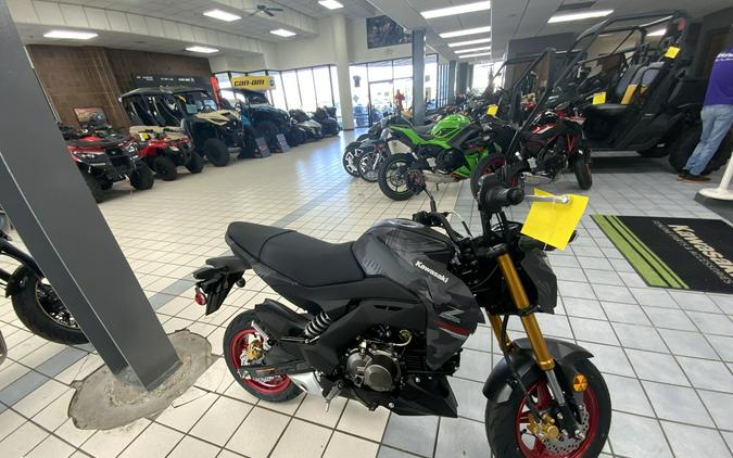 2024 Kawasaki Z125 PRO Base