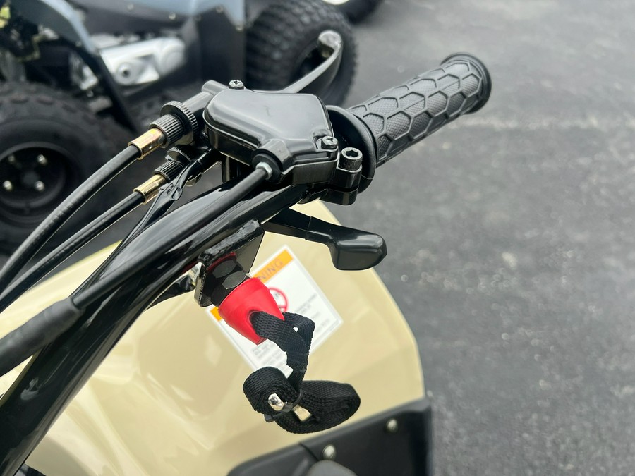 2026 Kymco Mongoose 110i