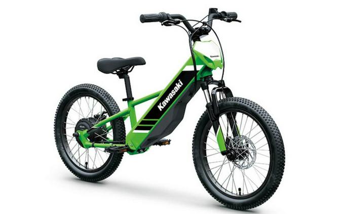 2025 Kawasaki Elektrode 20