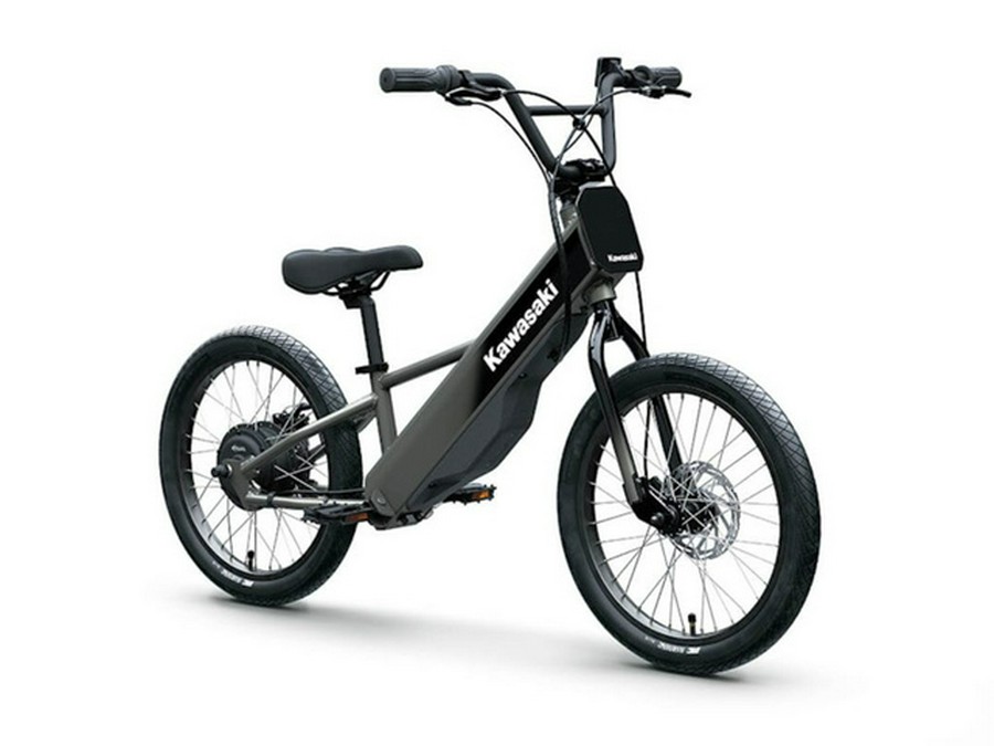 2025 Kawasaki Elektrode 20FS