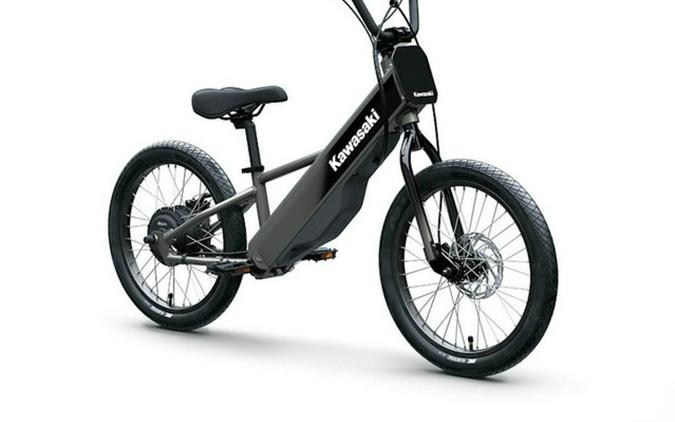 2025 Kawasaki Elektrode 20FS
