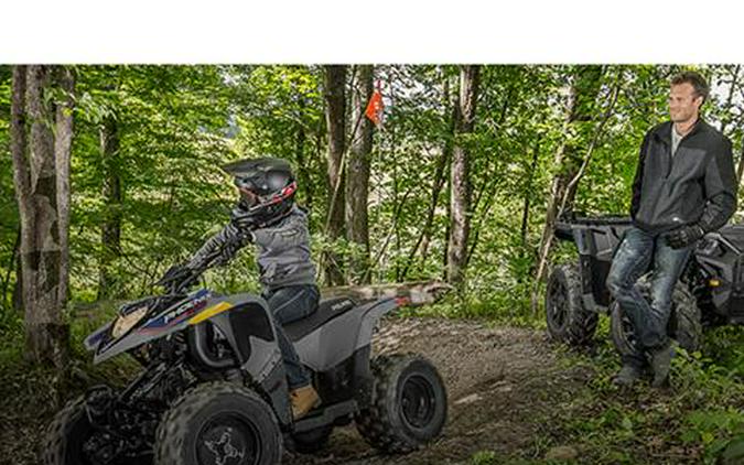 2025 Polaris Phoenix 200