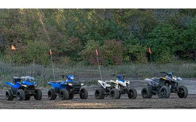 2025 Polaris Phoenix 200