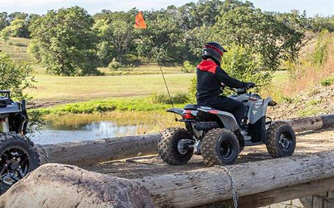 2025 Polaris Phoenix 200