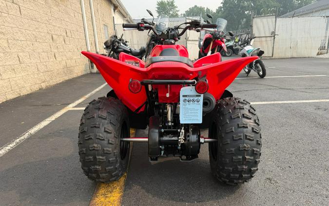 2026 Honda TRX90X