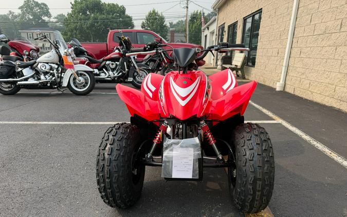 2026 Honda TRX90X