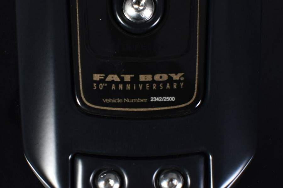 2020 Harley-Davidson Fat Boy 30th anniversary