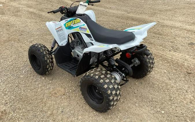 2023 Yamaha Raptor 90