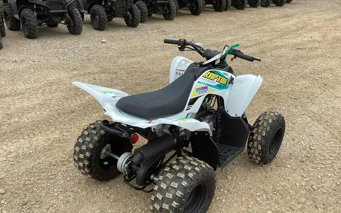 2023 Yamaha Raptor 90