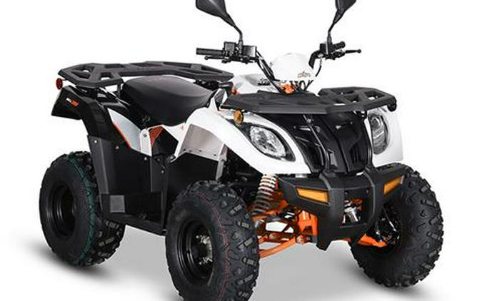 2025 Kayo Bull 300 EFI