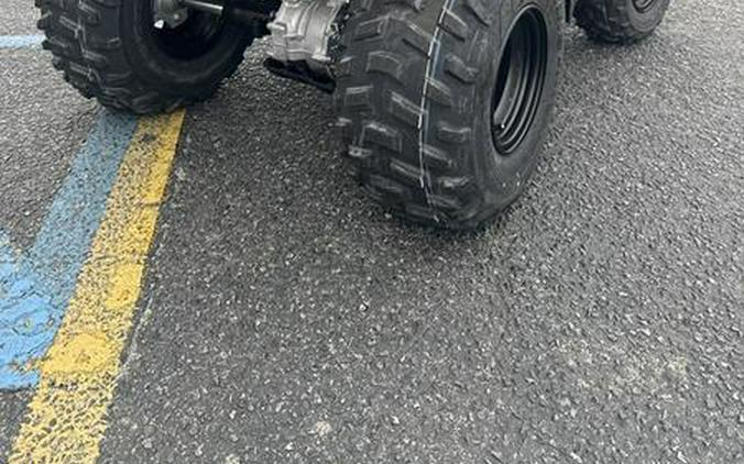 2026 Honda® FourTrax Recon ES