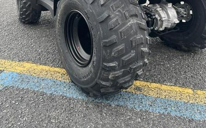 2026 Honda® FourTrax Recon ES