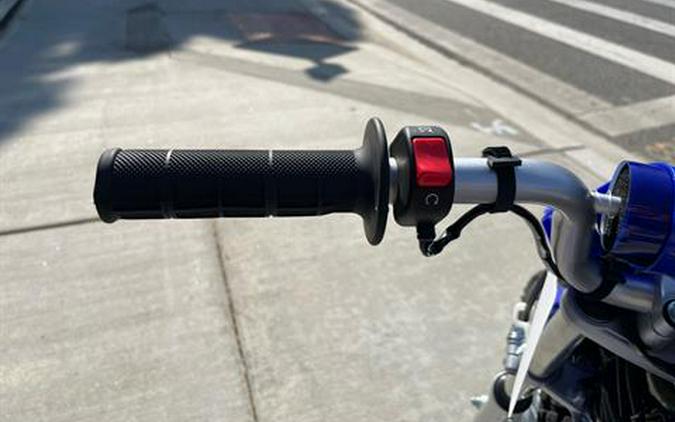 2025 Yamaha TT-R110E