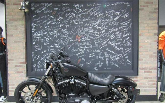 2021 Harley-Davidson® XL883N - Iron 883™