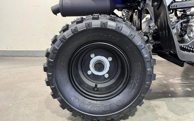 2026 Yamaha Raptor 110