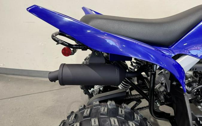 2026 Yamaha Raptor 110