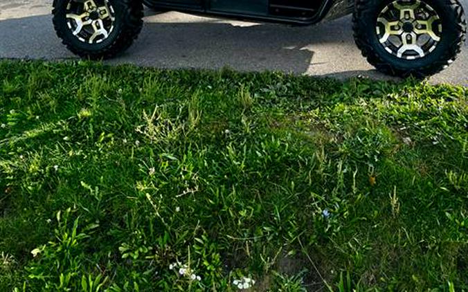 2017 Kawasaki Teryx4 LE