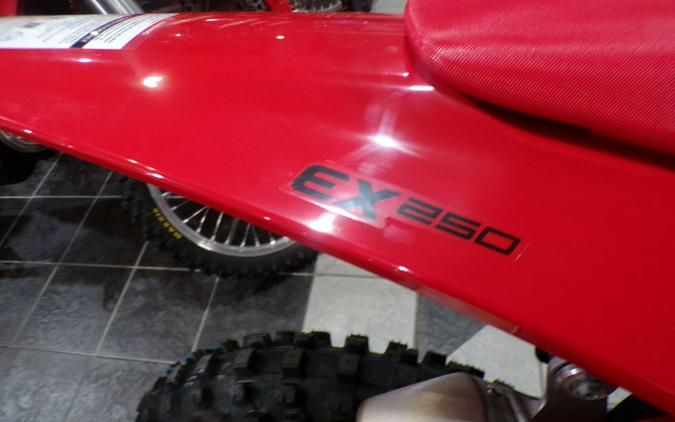 2025 GASGAS EX 250