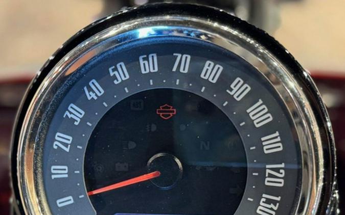 2021 Harley-Davidson Softail FLSL - Slim