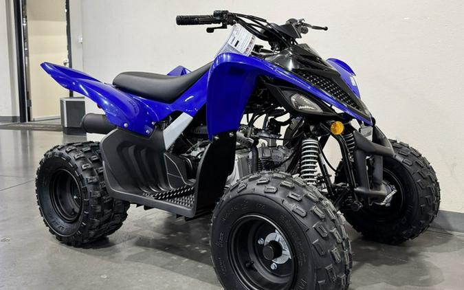 2026 Yamaha Raptor 110