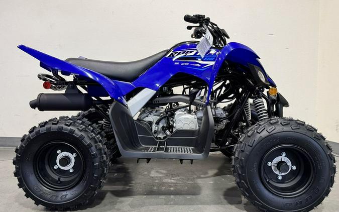 2026 Yamaha Raptor 110