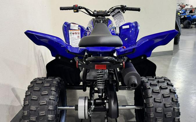2026 Yamaha Raptor 110