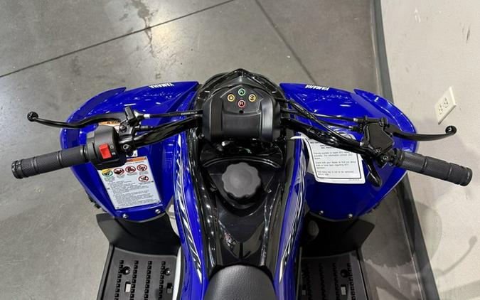 2026 Yamaha Raptor 110