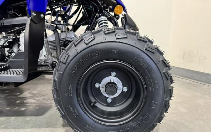 2026 Yamaha Raptor 110