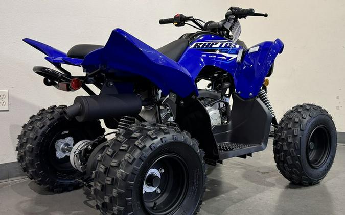 2026 Yamaha Raptor 110