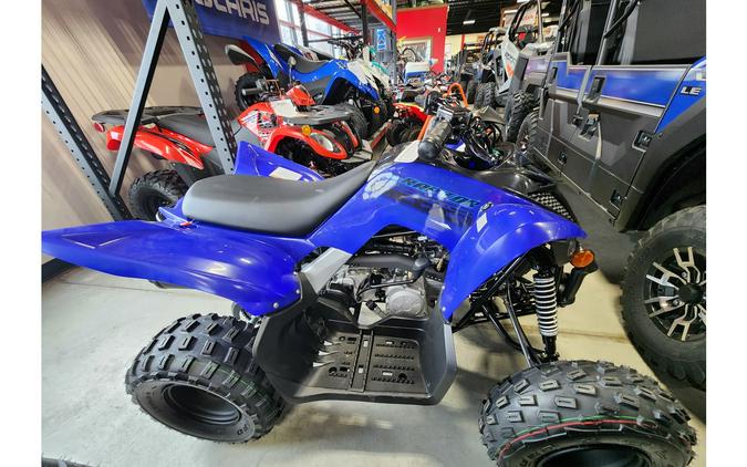 2024 Yamaha RAPTOR 110