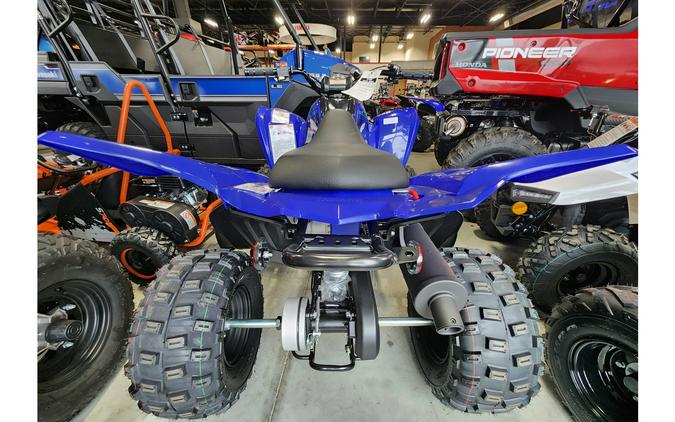 2024 Yamaha RAPTOR 110