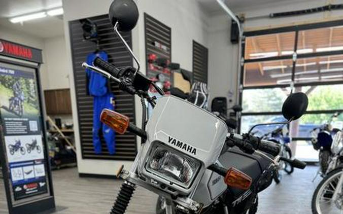 2024 Yamaha TW200